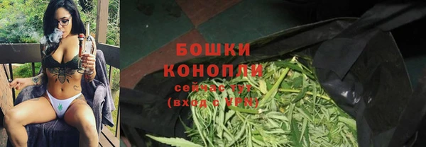 ешки Гусиноозёрск