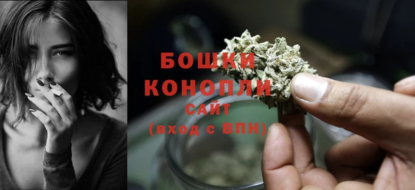 spice Гусь-Хрустальный
