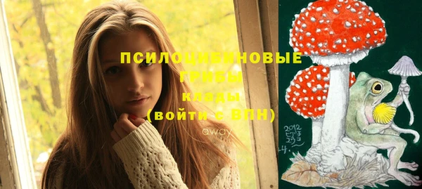 ешки Гусиноозёрск