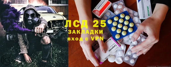 трава Гусев