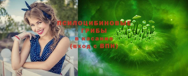 spice Гусь-Хрустальный